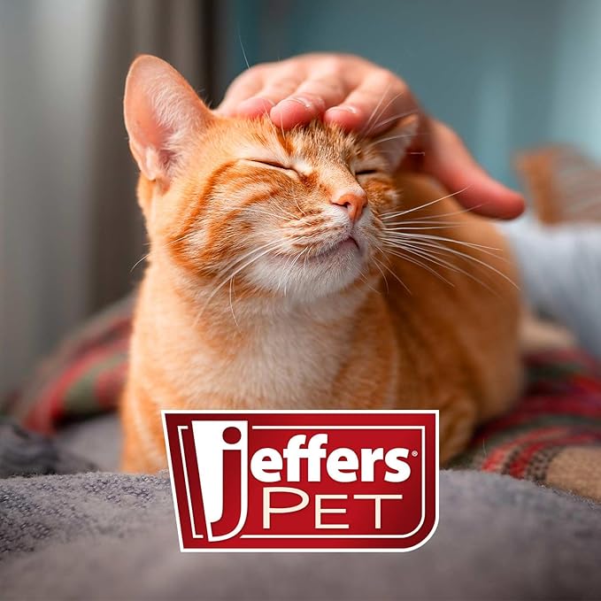 Jeffers Pet Vanilla Walnut Conditioning Dog & Cat Shampoo, 128 oz - Exfoliating Grooming Wash, Coconut Based Soap Free Formula, Walnut Oil & Vanilla Extract, Vitamins A D E, Concentrated Coat Care