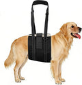 Dog Sling Adjustable Dog Lift Harness: Hip Support Sling for Dog, Dog Rehab Harness for Weak Rear Legs, Helps Disabled, Senior, Injured, and After ACL Surgery Dogs, Black for Small Dogs