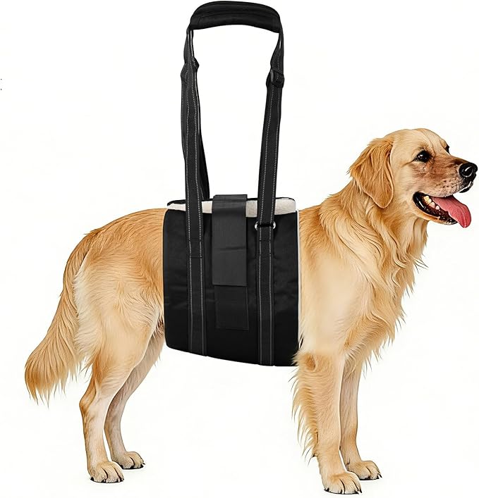 Dog Sling Adjustable Dog Lift Harness: Hip Support Sling for Dog, Dog Rehab Harness for Weak Rear Legs, Helps Disabled, Senior, Injured, and After ACL Surgery Dogs, Black for Medium Dogs