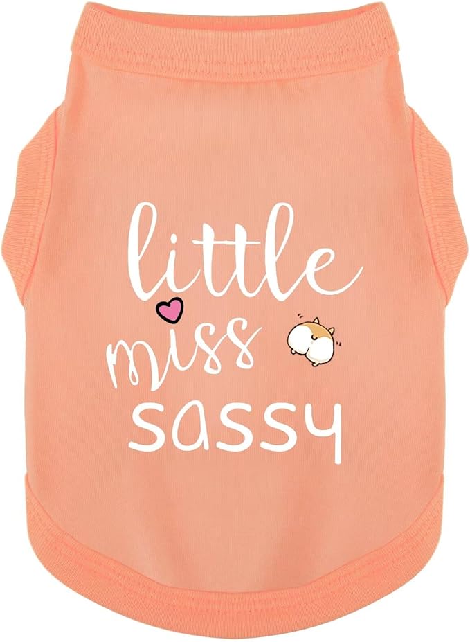 Paiaite Dog Clothes Fashionable Sleeveless Pet Vest: 'Little Miss Sassy' Printed Cotton Dog Shirt, Ideal for Small, Medium, and Large Breeds, Ensuring Comfort and Breathability Orange Pink L