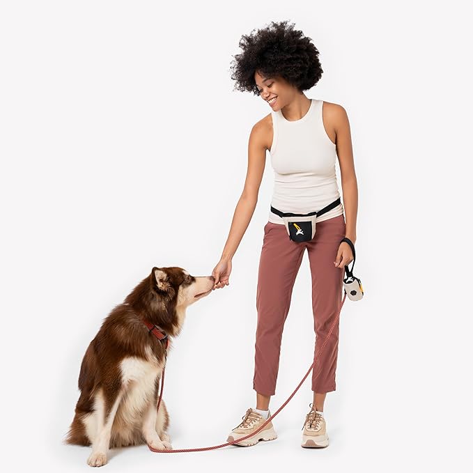OllyDog Goodie Treat Bag, Dog Treat Pouch, Waist Belt Clip for Hands-Free Training, Magnetic Closure, Dog Training and Behavior Aids, Three Ways to Wear (Con Leche)