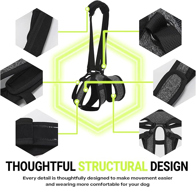 Dog Lift Harness – Adjustable Hind Leg Support Sling for Medium & Large Dogs, Soft Padded Mobility Aid for Senior, Injured & Arthritic Dogs
