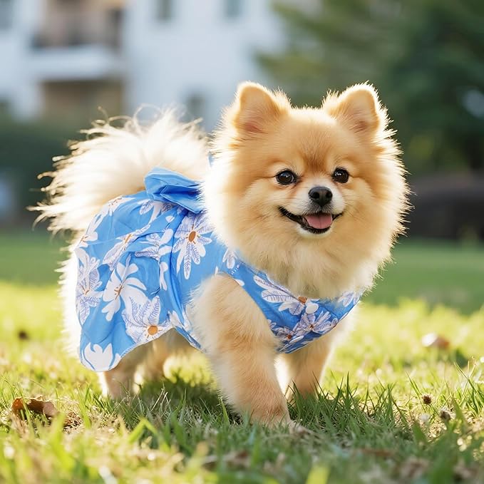 5 Pcs Dog Dresses Floral Puppy Cat Pet Dresses Dog Bowknot Dresses for Medium Dogs Girls Puppy Summer Floral Skirts Outfits Cute Princess Pet Dress for Female Yorkie Cats Dogs Pets