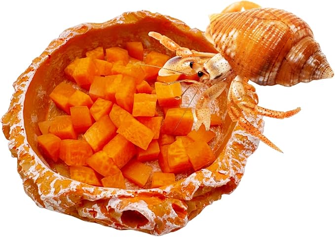 3 Pack Reptile Water Dish and Food Bowls, Reptile Rock Bowl for Bearded Dragon Lizard Frog Gecko Tortoise Hermit Crab (Orange)