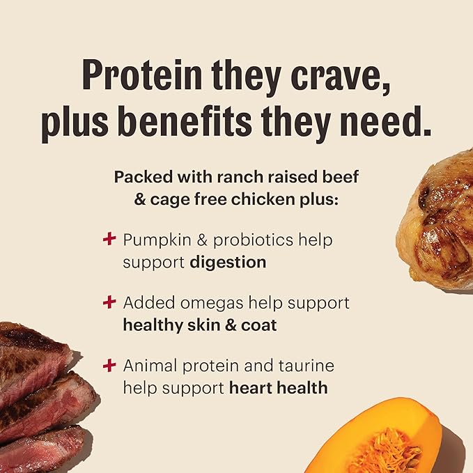 The Honest Kitchen Human Grade Dog Food, Protein Plus+ Clusters Grain Free Beef & Chicken Dry Dog Food, 18 lb Bag
