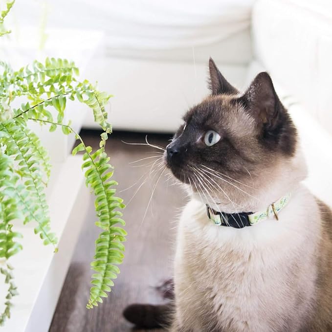 Pettsie Breakaway Cat Collar & Matching Friendship Bracelet – Adjustable, Soft Cotton Collar for Cats, Quick-Release Safety Buckle, Lightweight, Stylish, Designed for Cat Lovers, Green
