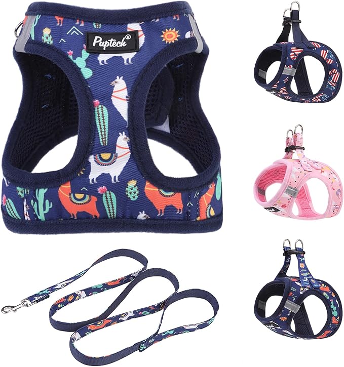 PUPTECK Dog Harness and Leash Set for Small Medium Dogs No Pull Step-in Soft Mesh Puppy Cat Vest Harnesses Reflective at Night, NavyBlue Print, S