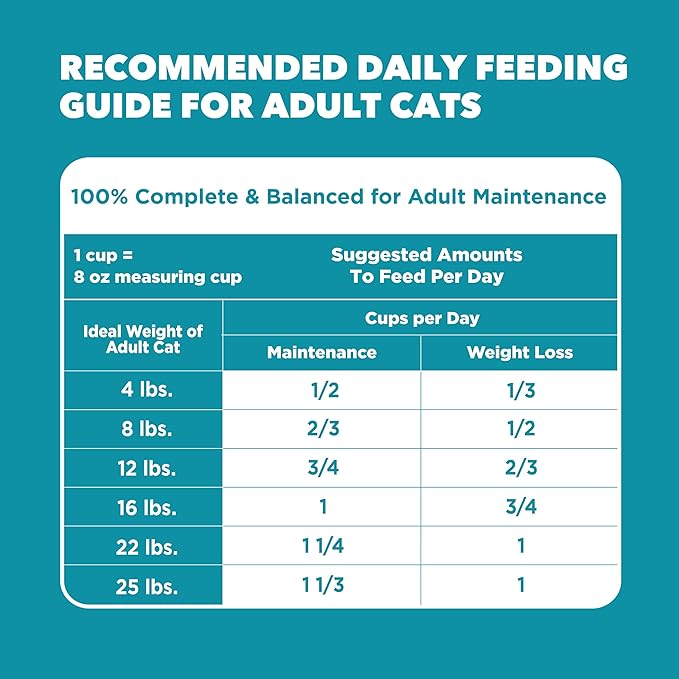 IAMS Proactive Health Dry Cat Food, Indoor Weight and Hairball Care Cat Food Dry Recipe, with Real Chicken in Every Bite, 7 lb. Bag
