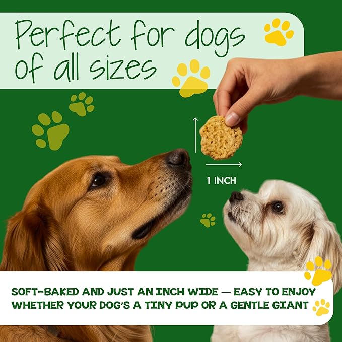 DAWG'S CHOICE Soft & Chewy Dog Treats, Cheese & Bacon Snacks for Dogs, Dog Treats Made in USA, Human Grade, All-Natural Ingredients, High Value Training Treats, for Small, Medium & Large Dogs