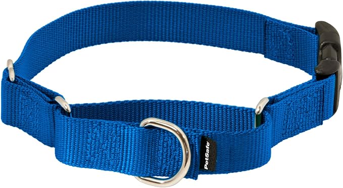 PetSafe Adjustable Martingale Collar - Improves Leash Manners - Escape Prevention - Gentle Behavior Training - Durable Nylon - Alternative to Choke Collar - Petite 3/8" - Royal Blue