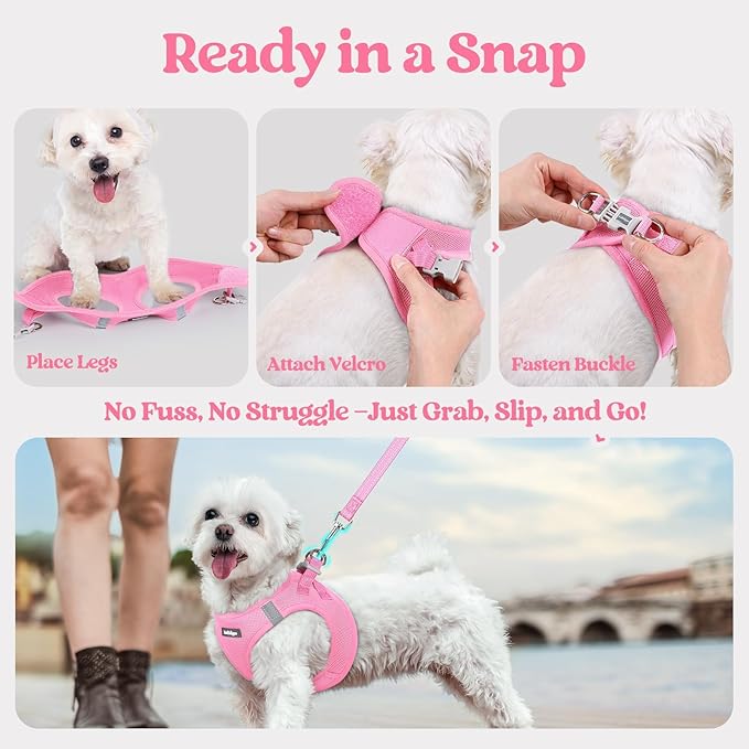 rabbitgoo Dog Harness Small Sized and Leash Set, Step in Soft Light Puppy Vest, Breathable Mesh Pet Harness, Reflective for Safe Easy Walking, Light Pink XS