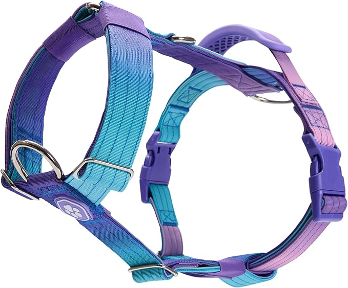 Spark Paws No Pull Dog Harness with Handle for Large Dogs, Heavy Duty Dog Harness for Big Strong Breeds, Adjustable, Y Shaped Padded Halter Design with Front Clip - 90s Retro - L