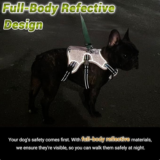 BELPRO Multi-Use Support Dog Harness, Escape Proof No Pull Reflective Adjustable Vest with Durable Handle, Dog Walking Harness for Big/Active Dogs (Blue, L)