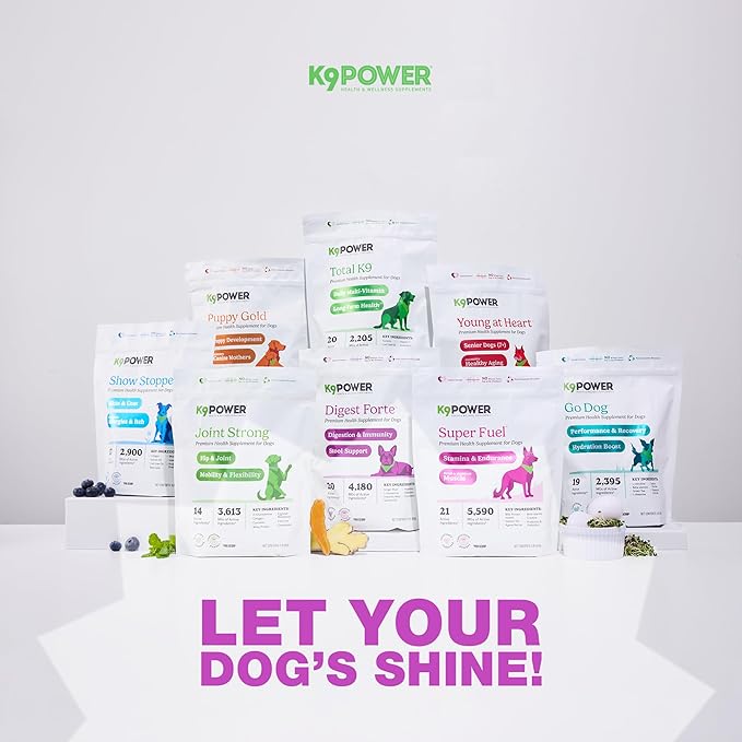 K9 Power Digest Forte – Advanced Digestive & Immune Support for Dogs – Probiotic, Prebiotic, Postbiotic Blend with Salmon Oil, Ginger, Kelp, Pomegranate, L-Glutamine – Gas, Stool, Eye & Gut Relief