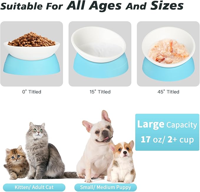 Ravitat Elevated Cat Food Bowl - Adjustable, Anti-Slip & Anti-Noise, Protects Pet's Spine, 17 Oz