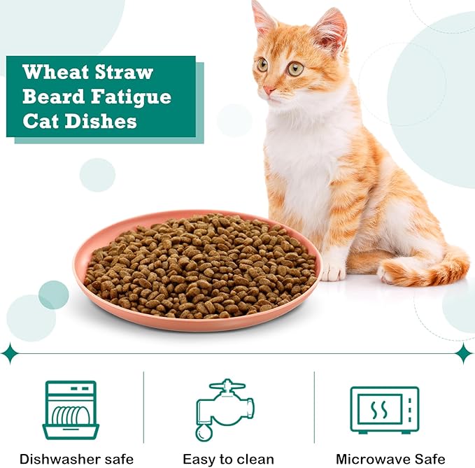 Gerrii 24 Pieces Fatigue Relief Cat Bowl 6 Inch Shallow Cat Food Dish Stray Wet Feeding Bowls Wide and Small Pet Plates for Ferrets Feral Short Legged Kitten Shelter(Light Color,Convention)
