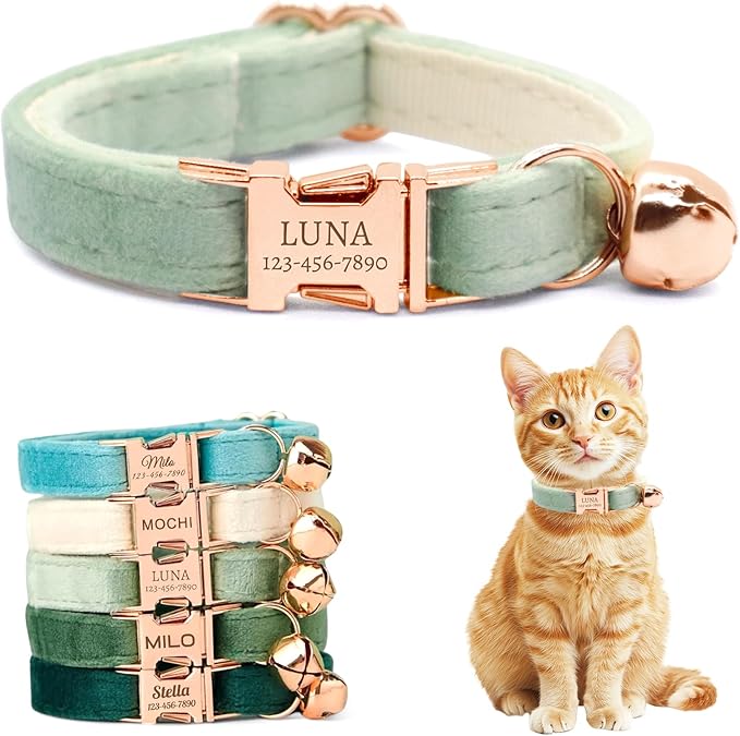 Personalized Non-Breakaway Cat Collar with Name, Luxury Soft Velvet Custom Engraved Name Collar with Bell for Kittens & Cats (Celadon, L (7.5-12.5 inches))