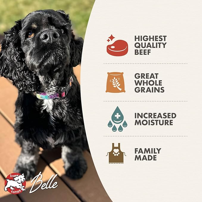 Fromm Beef & Barley Pate Dog Food - Premium Wet Dog Food - Beef Recipe - Case of 12 Cans