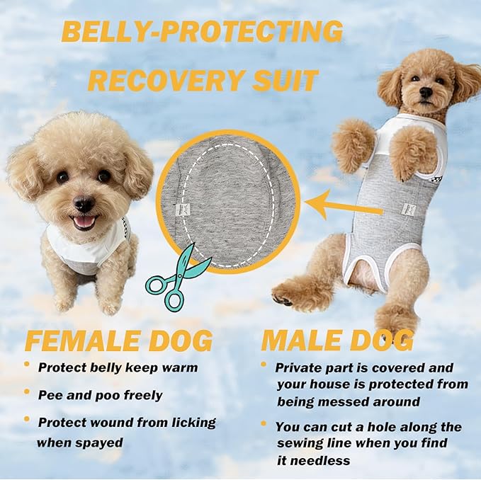 Kukaster Pet Dog Surgical Suit - Recovery Onesie for Dogs After Surgery, Spayed Female/Male Puppy, Breathable Anti-Lick Clothes, Alternative to Cone(Grey and White-m)