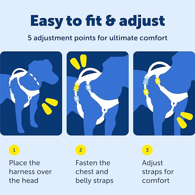 PetSafe Easy Walk Comfort No-Pull Dog Harness Full-Body Padding - Better Walks on the First Use - 5 Points of Adjustment X-Small, Green
