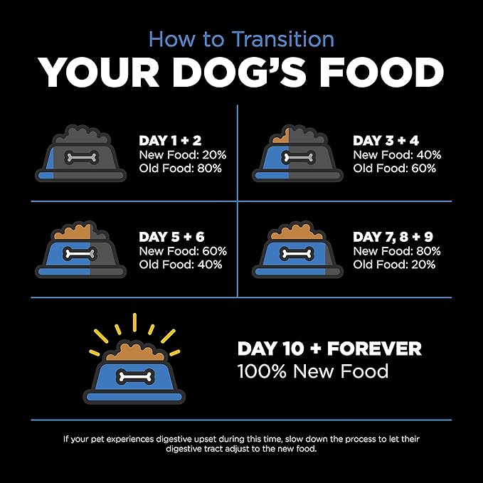 Go! Solutions Skin + Coat Care Chicken Dry Dog Food with Grains, Healthy Kibble with Omega-3s & 6s for Soft, Shiny Fur, for Puppies, Adults, & Seniors, 22 lb Bag