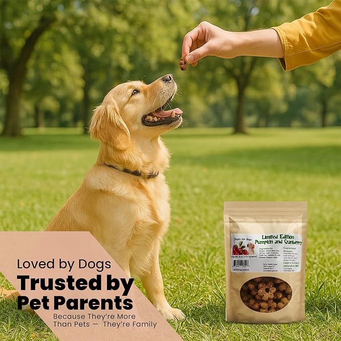 Healthy Dogma Pumpkin, Cranberry & Apple Dog Treats | Warm Fall-Inspired Flavors | All-Natural, Wholesome Ingredients | No Fillers or Preservatives | Tasty & Nutritious Dog Snacks (6 oz)