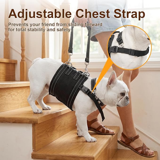 CWV Adjustable Dog Lift Harness for Large Dogs, Soft and Portable Dog Dling for Large Dogs Hind Leg Support, Help em up Harness for Senior, Injured, Disabled and After Surgery Male Dogs, Medium