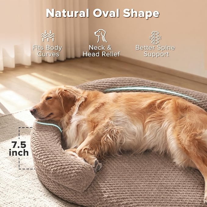 JOEJOY Orthopedic Dog Beds Large Sized Dog, Washable Waterproof Oval Large Dog Bed with Removable Cover, Big Egg-Crate Memory Foam Pet Bed with Bolster Sides & Non-Skid Bottom, Brown, 36''x27''