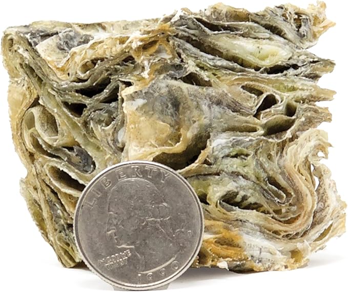 Icelandic+ Cod Cube - Large 2" Cod Skin Dog Treat, Pure Wild- Caught Air-Dried Fish, Single Ingredient Snack, Pet Chew, Just The Fish Nothing Else