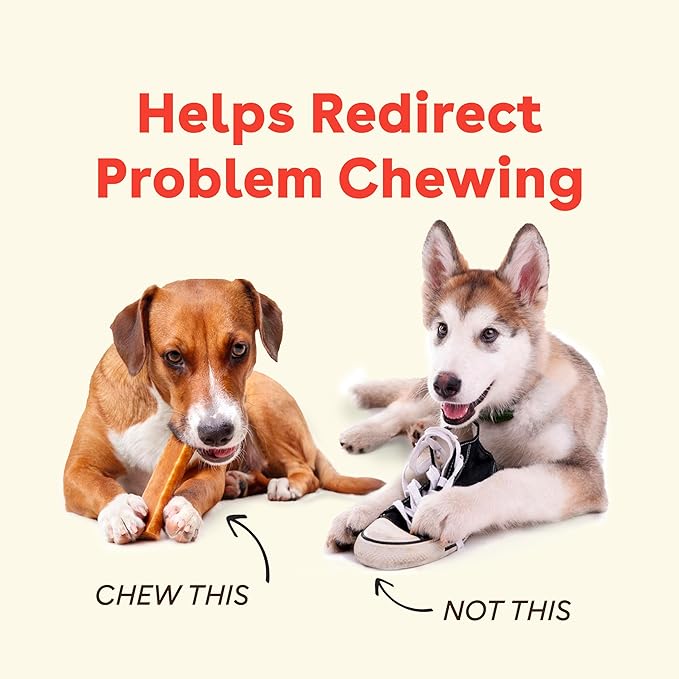 Pupford Yak Cheese Chews for Dogs & Teething Puppies, Natural, Long-Lasting Himalayan Dental Treats (3 Pack Jumbo)