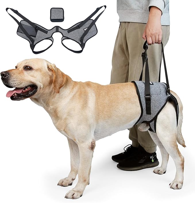 CNEO Dog Lift Harness - Adjustable Support for Medium Large Dogs, Comfortable Design with Padded Back Legs for Elderly, Injured, Arthritic, Senior, Disabled Dogs