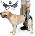CNEO Dog Lift Harness - Adjustable Support for Medium Large Dogs, Comfortable Design with Padded Back Legs for Elderly, Injured, Arthritic, Senior, Disabled Dogs
