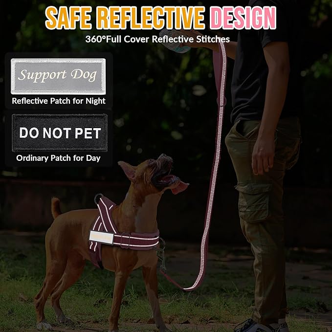 SlowTon No Pull Dog Harness - Heavy Duty Dog Harness and Leash Set for Medium Large Dogs, Reflective Tactical Harness with Soft Padded and Front Clip for Easy Walk and Training (PI, M)