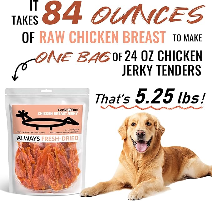Dog Treats Premium Chicken Breast Jerky - 1.5 LB Value Pack, 100% Chicken Breast, Human Grade, High Protein, Healthy Natural Dog Chews, Training Reward, Made for North America
