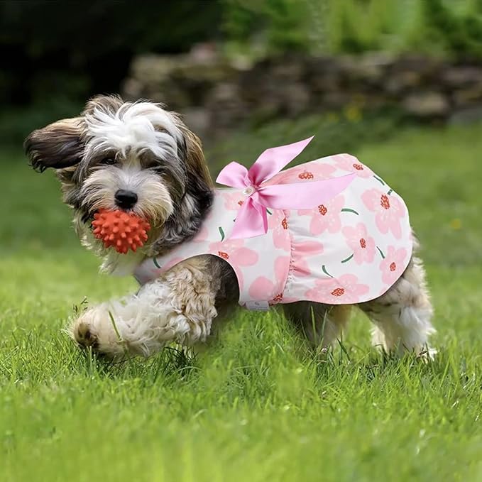 2 PCS Dog Dresses Small Dogs Clothes Outfit for Pets Puppy Dresses Floral Summer Cute Female Cat Dress(Large)
