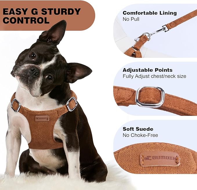 Dog Harness and Leash Set, XXS No Pull Adjustable Puppy Harness with Multifunction Pink Dog Leash and Dog Collar, Soft No Choke Escape Proof Pet Harness Vest for Small Dogs and Cats (Brown, XXS)