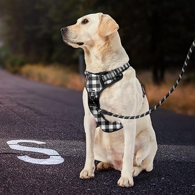 IVY&LANE No Pull Dog Harness with Leash Set, Reflective No Choke Pet Vest,Adjustable Oxford Dog Vest Harness with Easy Control Handle for Medium Lagre Dogs (Checkered Black,M)
