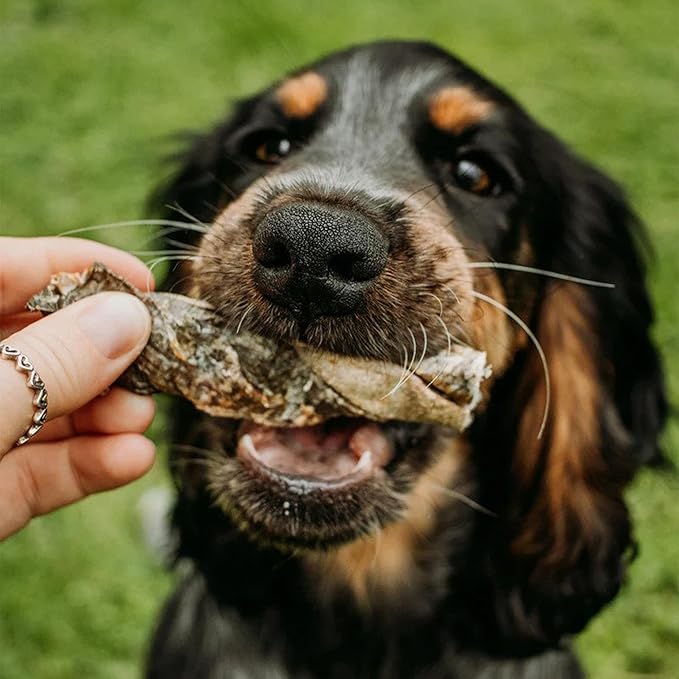 SKIPPER'S Crunchy Cod Fish Skin Twists Dog Treats - 100% Natural Baked Fish Skin Treat for Dogs, High in Protein & Low in Fat, Essential Source of Omega 3 Oil, Great for Cleaning Teeth | (7.05 Oz)