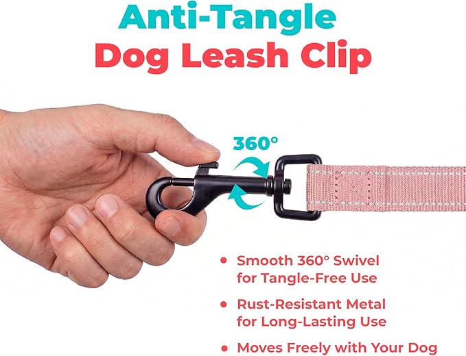 Best Pet Supplies Voyager Reflective Dog Leash or Collar with Neoprene Handle, for Small, Medium, and Large Breed Puppies, Cute and Heavy Duty for Walking, Running and Training - Pink (Leash), L