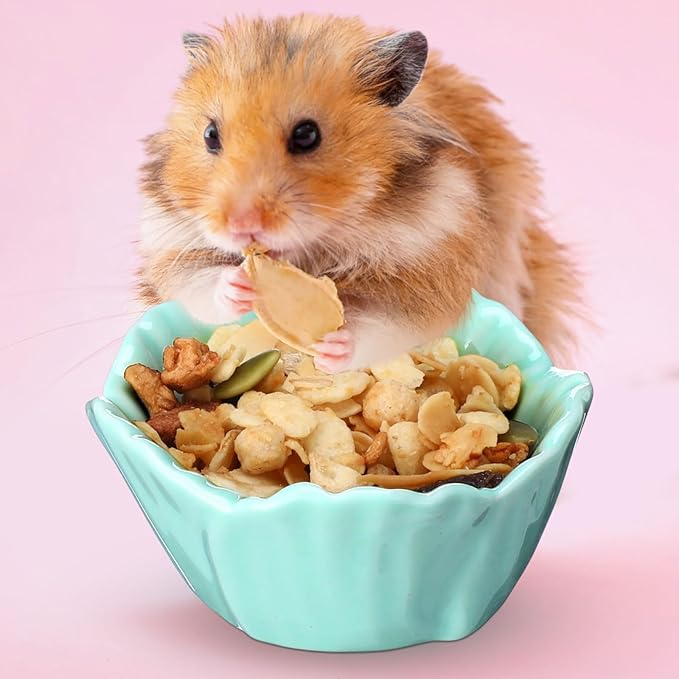 4 Pack Small Ceramic Pet Hamster Bowl, 2.68 x 2.68 x 1.38 Inch Flower Shaped Small Water and Food Bowl Feeder Dish for Guinea Pig Parrots Gerbil Rat Mice Rabbit Chinchilla, Easy to Clean Anti Flipping