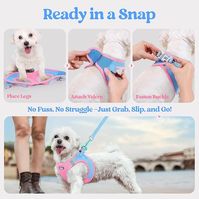 rabbitgoo Dog Harness Small Sized and Leash Set, Step in Soft Light Puppy Vest, Breathable Mesh Pet Harness, Reflective for Safe Easy Walking, Blue & Light Pink M