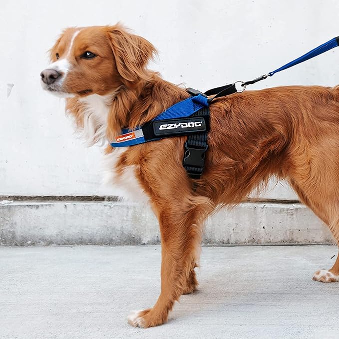 EzyDog Express Dog Harness - Adjustable Dog Harness for Large, Medium, and Small Dogs with Padded Ergonomic Anti-Chafing Design, Grip Handle, & Easy Side Buckle (XS, Red)