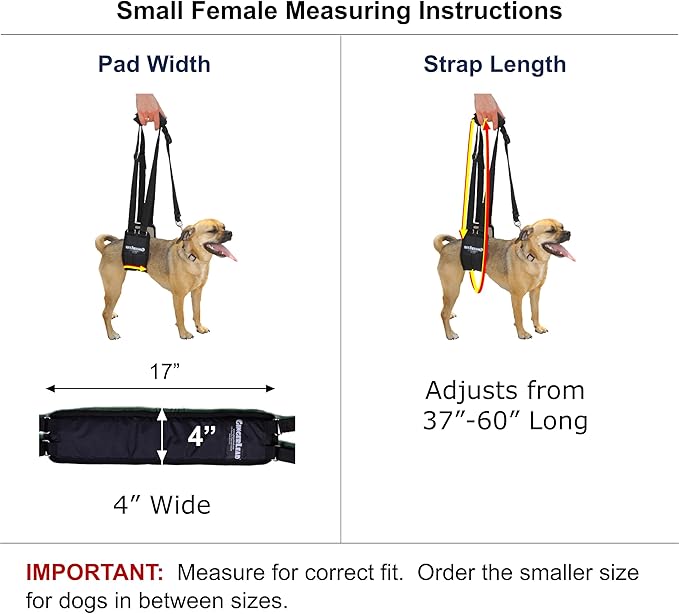 GINGERLEAD Dog Sling Support Harness, SM Female fits Small to Medium Size Pets or Larger Barrel Chested Dogs Like Boxers or Bullies. Padded Rear Lifting Aid with Leash. Made in U.S.A.