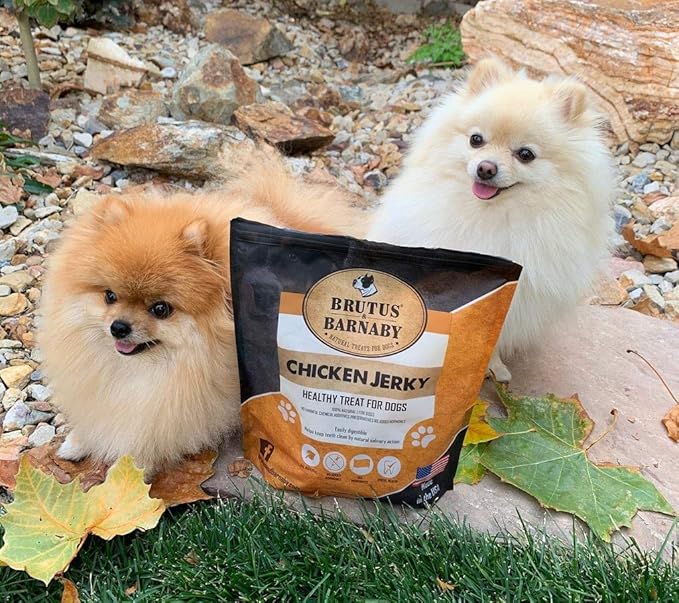 BRUTUS & BARNABY Chicken Jerky Dog Treats- Dehydrated, Crunchy USA Premium Fillets, Grain-Free, Preservative-Free, No Fillers. All Natural Chicken Strips are Great for Dogs and Cats- 32oz