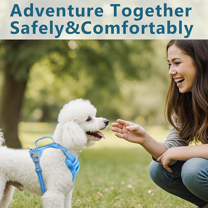 BARKBAY Dog Harness No Pull with ID Tag Pocket - Heavy Duty, Reflective, Easy Control for Small Dogs(Blue,S)