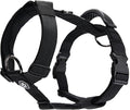 Spark Paws No Pull Dog Harness with Handle for Large Dogs, Heavy Duty Dog Harness for Big Strong Breeds, Adjustable, Y Shaped Padded Halter Design with Front Clip - Black - M