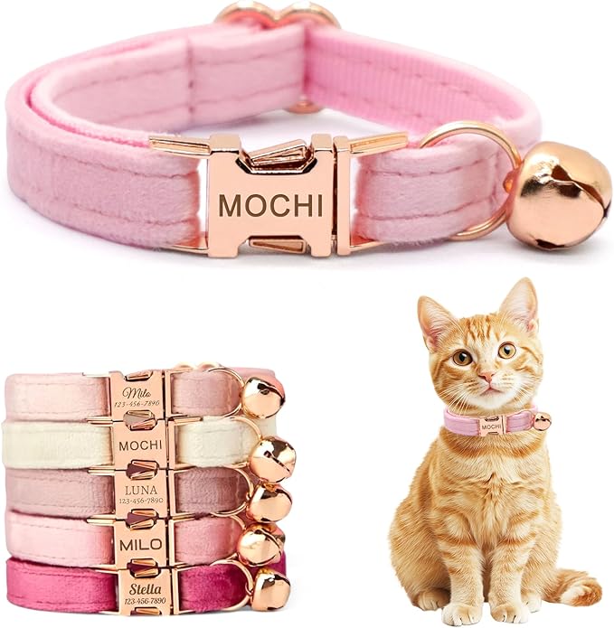 Personalized Non-Breakaway Cat Collar with Name, Luxury Soft Velvet Custom Engraved Name Collar with Bell for Kittens & Cats (Pink, S (6.5-10.5 inches))