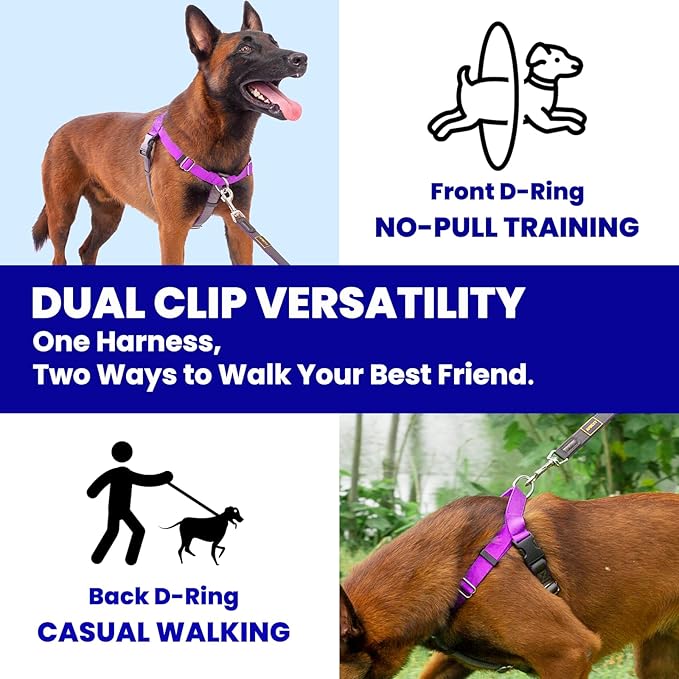 Freedom No Pull Dog Harness, Easy Walker, Front and Back Clips, Stop Pulling with 2 Stainless D-Rings, Sewn-in Instructions Tags for Easy Use, for Small Dogs Weight 20-30 lbs (Purple, Small)