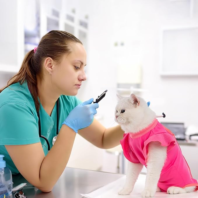Avont Cat Recovery Suit - Post-Surgery Onesie for Cats, Alternative to Cone of Shame, Protective Spay Suit for Female Kitten, Ideal for Healing and Skin Conditions -Magenta(L)