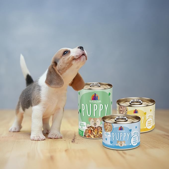 Weruva Puppy, Beef and Rice Formula in Gravy, 14oz Can, Pack of 10
